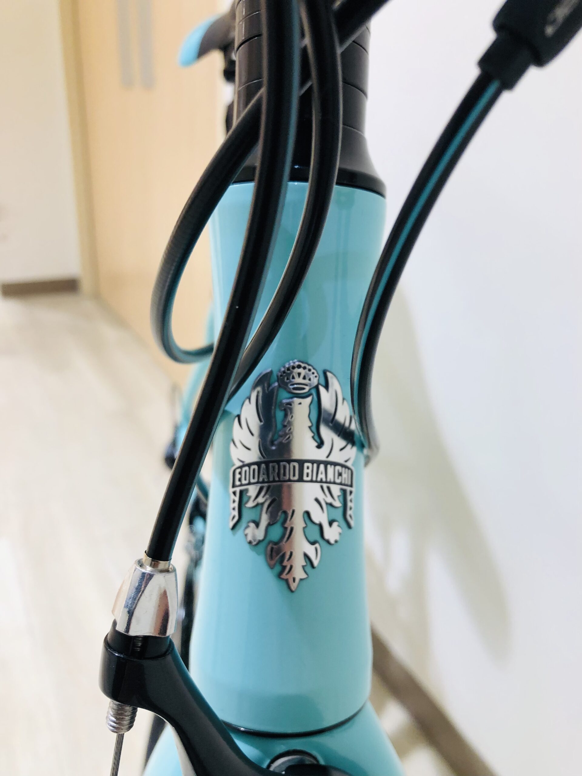 🏢静岡🏢モディ入荷情報✨BIANCHI VIA NIRONE 7(ビアニローネ7ソラ 